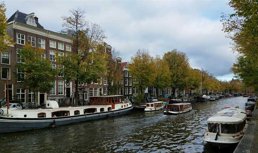 7 Days Mini Highlights 